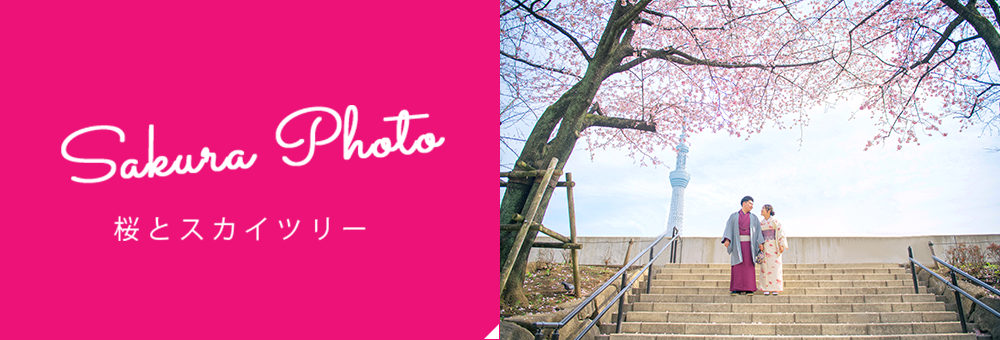 Sakura Photo イメージ
